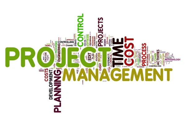 projectmanagement-paars.jpg